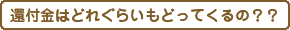 還付金はどれぐらいもどってくるの？？